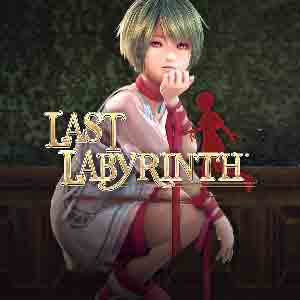 Last Labyrinth covers