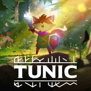 Tunic cover